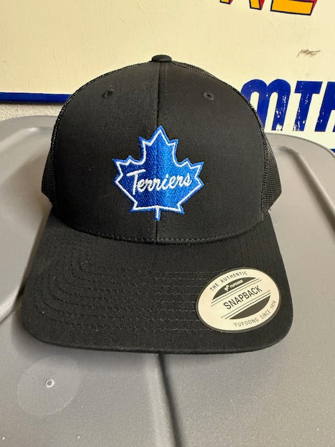 Terrier Snap Back Hat