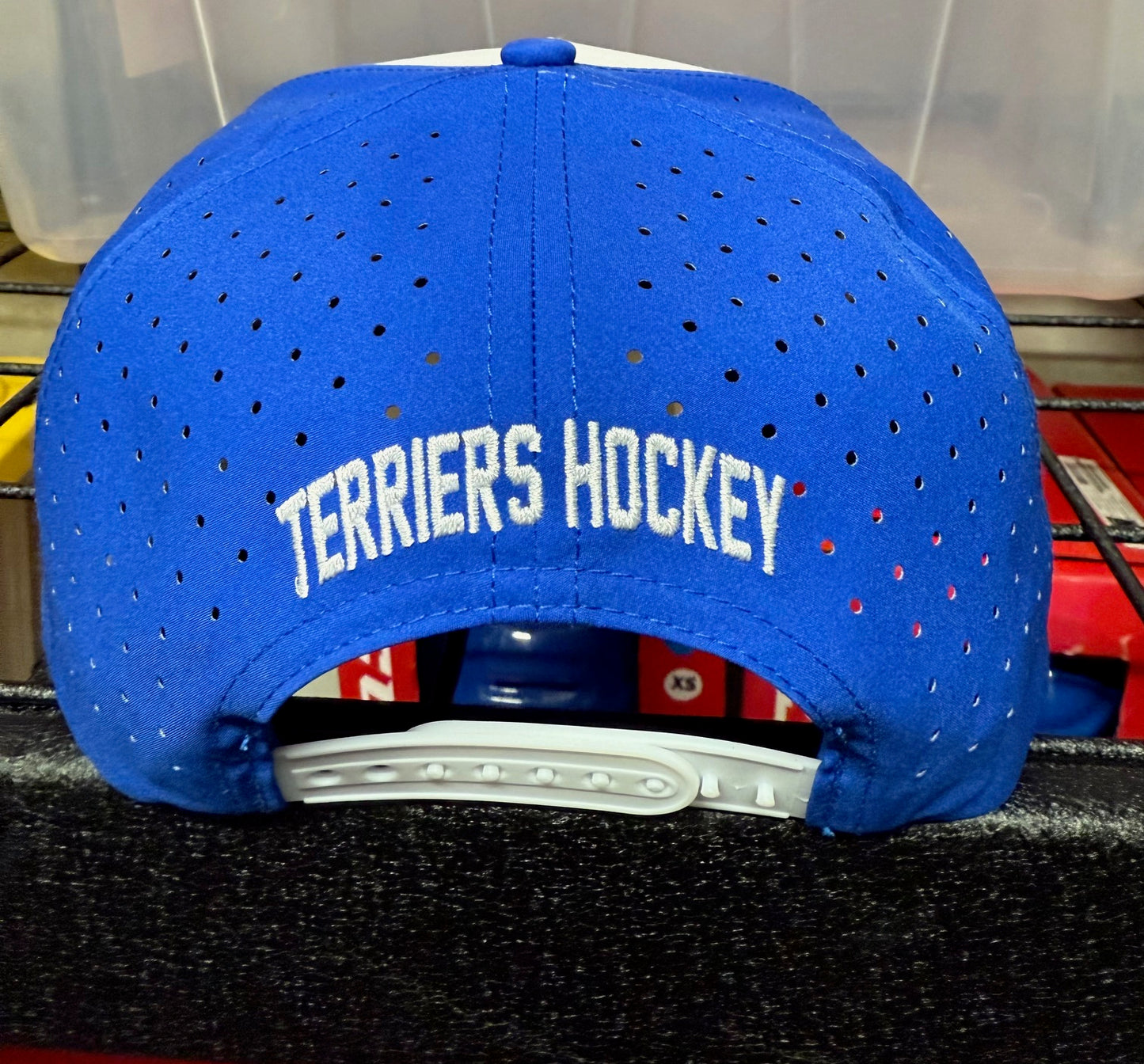 Terri Terrier Hat